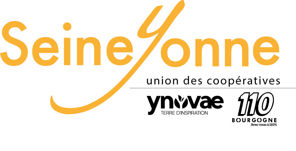 logo SeineYonne