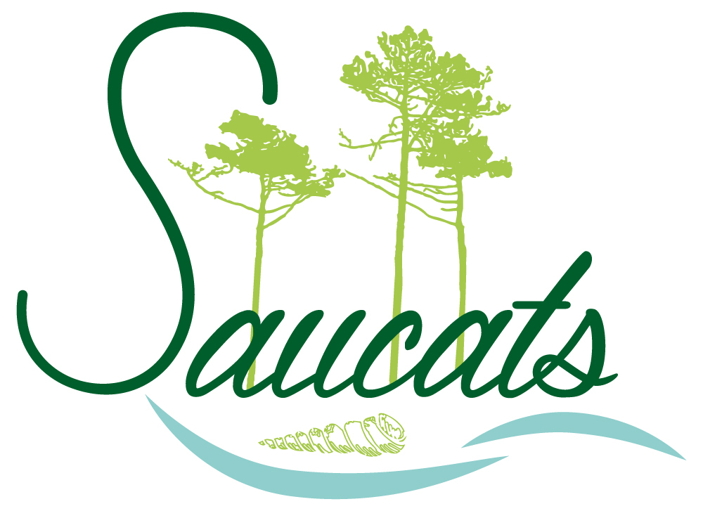 logo Mairie de Saucats