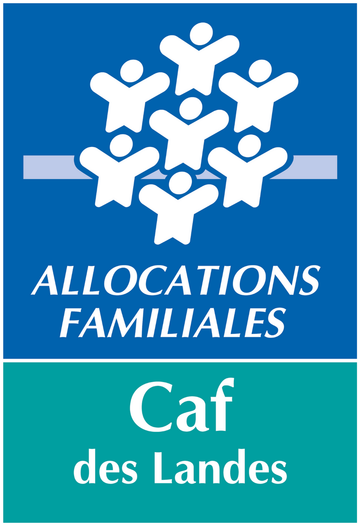 logo CAF DES LANDES - Département Enfance Famille Ingénierie Action Sociale