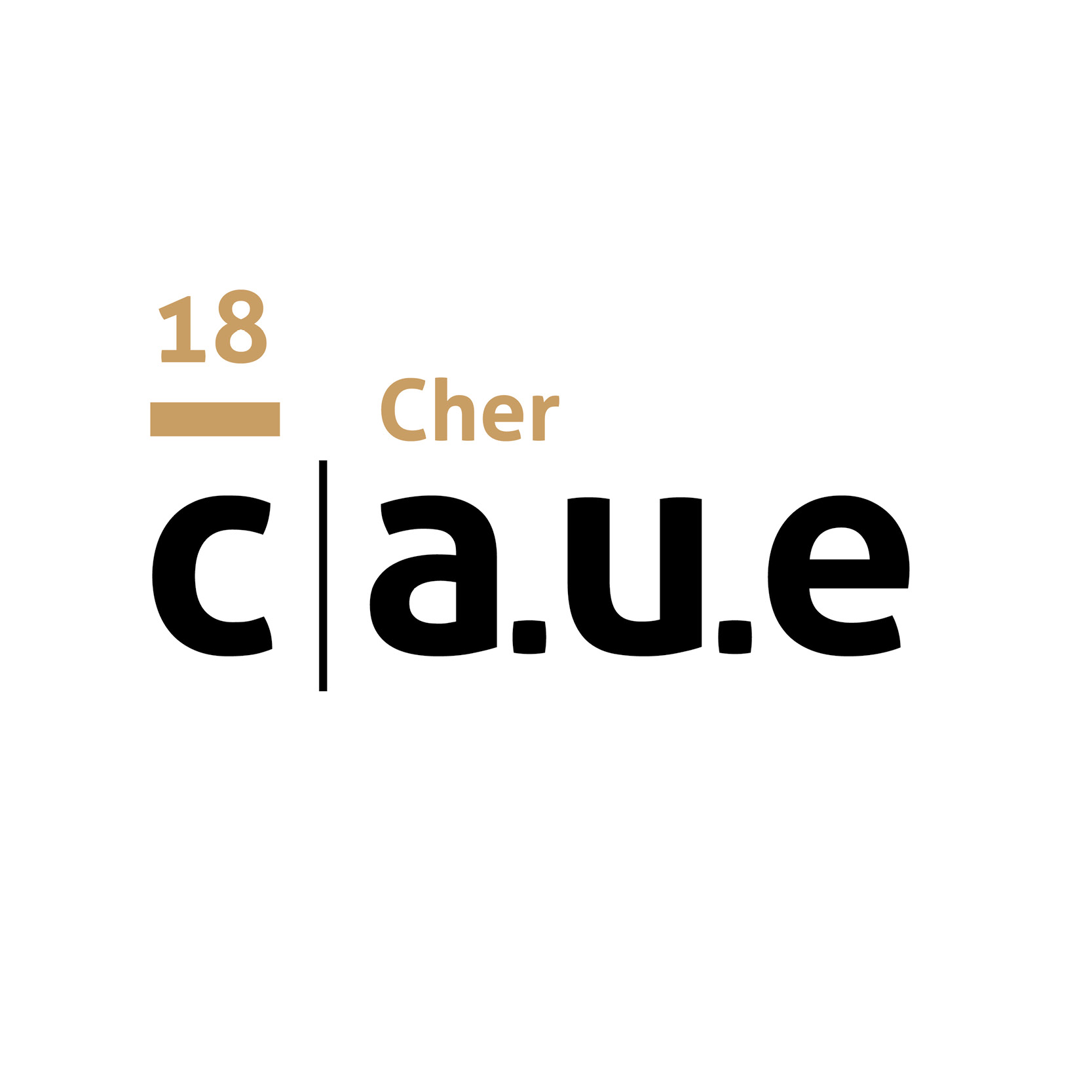 logo CAUE du Cher
