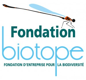 logo Fondation Biotope pour la biodiversité