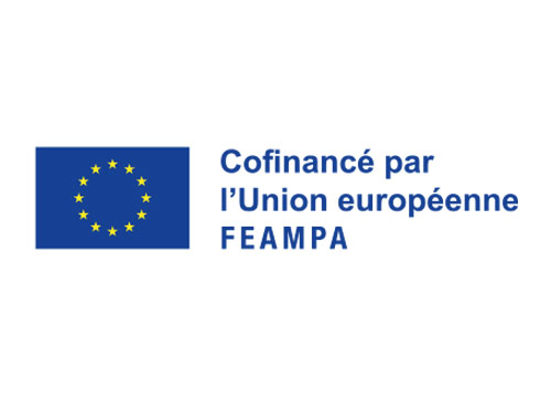 logo 🇪🇺 FEAMPA - Fonds européen pour les affaires maritimes, la pêche et l'aquaculture