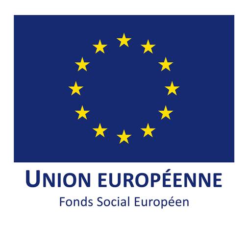 logo 🇪🇺 FSE + - Fonds social européen