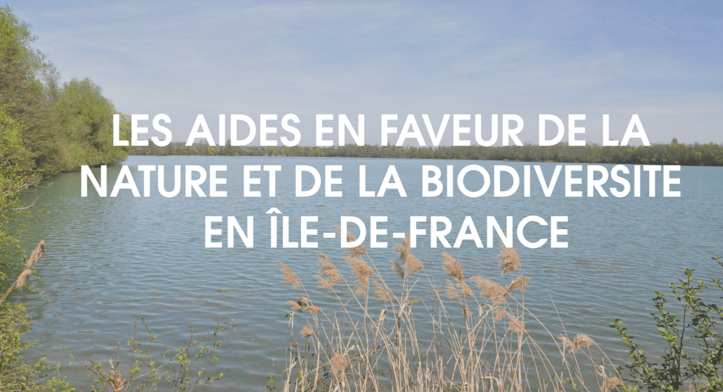 Photo d'un étang servant de fond au texte 